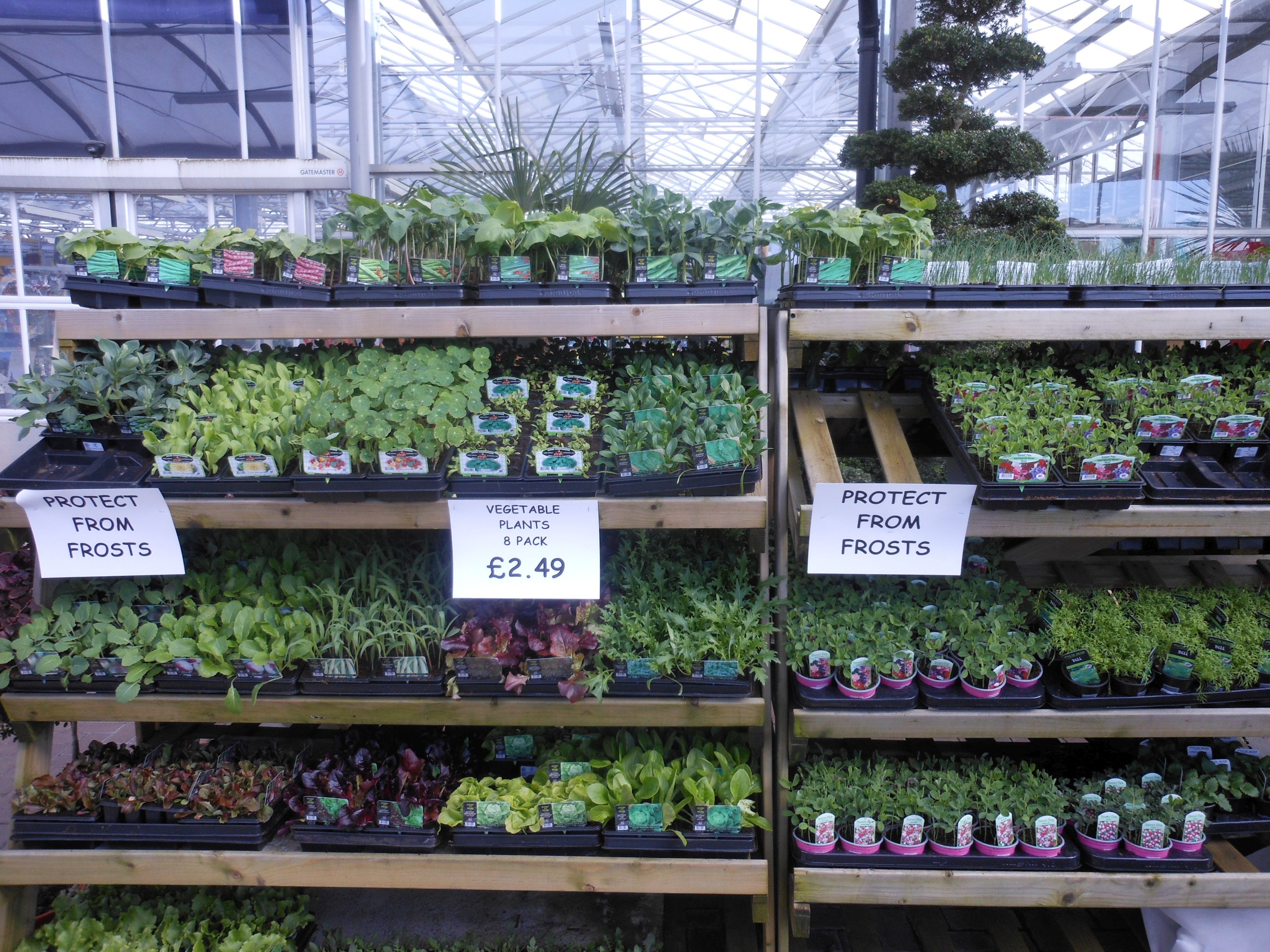 Plants Cherry Hill Garden & Landscape Centre